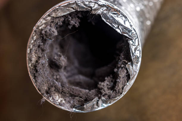 Best Air Duct Cleaning Near Me  in Fredonia, AZ