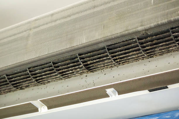 Best Local Air Duct Cleaning Services  in Fredonia, AZ